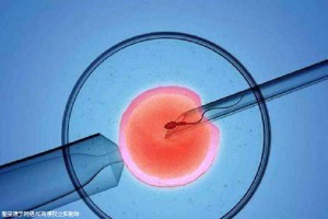 医疗团队
